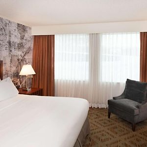 Suite con Cama King